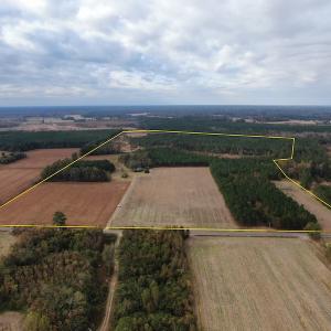 Photo #2 of SOLD property in 755 Racetrack Road, Nichols, SC 125.0 acres