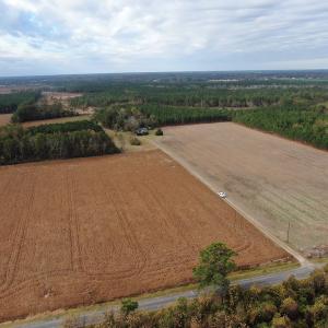 Photo #4 of SOLD property in 755 Racetrack Road, Nichols, SC 125.0 acres