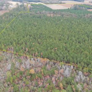 Photo #10 of SOLD property in 755 Racetrack Road, Nichols, SC 125.0 acres