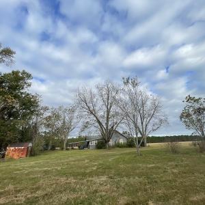 Photo #20 of SOLD property in 755 Racetrack Road, Nichols, SC 125.0 acres