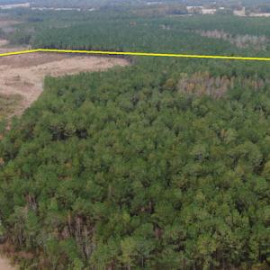 Photo #11 of SOLD property in 755 Racetrack Road, Nichols, SC 125.0 acres