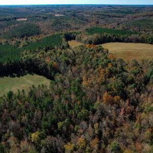 Photo #87 of SOLD property in 2050 Johnson Mill Road, Vernon Hill, VA 97.1 acres