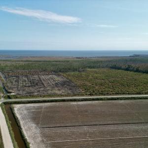 Photo #2 of SOLD property in Off US 264, Engelhard, NC 500.0 acres