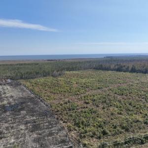 Photo #11 of SOLD property in Off US 264, Engelhard, NC 500.0 acres