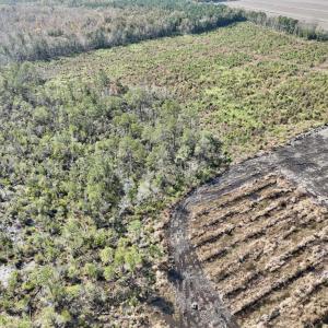 Photo #20 of SOLD property in Off US 264, Engelhard, NC 500.0 acres