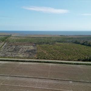 Photo #3 of SOLD property in Off US 264, Engelhard, NC 500.0 acres