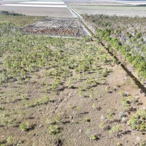 Photo #21 of SOLD property in Off US 264, Engelhard, NC 500.0 acres