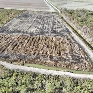 Photo #22 of SOLD property in Off US 264, Engelhard, NC 500.0 acres