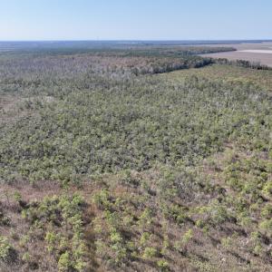 Photo #28 of SOLD property in Off US 264, Engelhard, NC 500.0 acres