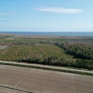 Photo #4 of SOLD property in Off US 264, Engelhard, NC 500.0 acres