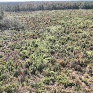 Photo #32 of SOLD property in Off US 264, Engelhard, NC 500.0 acres