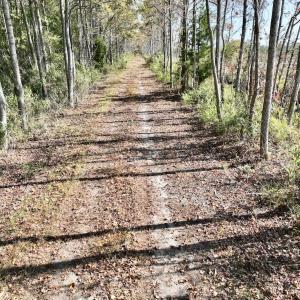Photo #35 of SOLD property in Off US 264, Engelhard, NC 500.0 acres