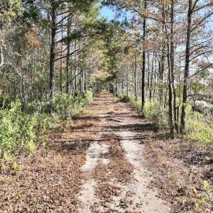Photo #36 of SOLD property in Off US 264, Engelhard, NC 500.0 acres