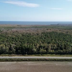 Photo #5 of SOLD property in Off US 264, Engelhard, NC 500.0 acres