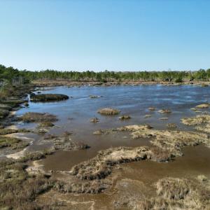 Photo #45 of SOLD property in Off US 264, Engelhard, NC 500.0 acres