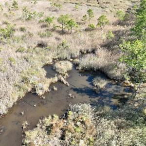 Photo #47 of SOLD property in Off US 264, Engelhard, NC 500.0 acres
