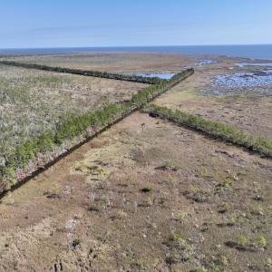 Photo #48 of SOLD property in Off US 264, Engelhard, NC 500.0 acres