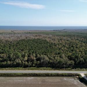 Photo #6 of SOLD property in Off US 264, Engelhard, NC 500.0 acres