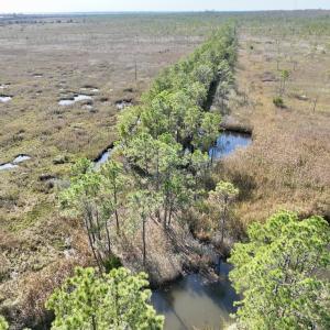 Photo #49 of SOLD property in Off US 264, Engelhard, NC 500.0 acres
