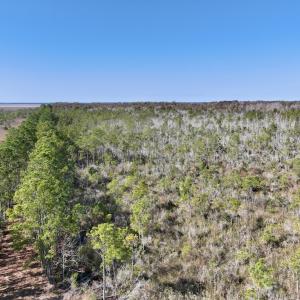 Photo #50 of SOLD property in Off US 264, Engelhard, NC 500.0 acres