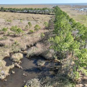 Photo #51 of SOLD property in Off US 264, Engelhard, NC 500.0 acres