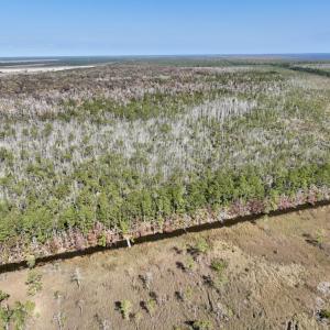 Photo #53 of SOLD property in Off US 264, Engelhard, NC 500.0 acres