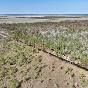 Photo #55 of SOLD property in Off US 264, Engelhard, NC 500.0 acres