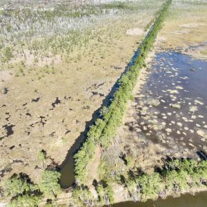 Photo #58 of SOLD property in Off US 264, Engelhard, NC 500.0 acres