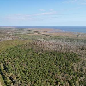Photo #7 of SOLD property in Off US 264, Engelhard, NC 500.0 acres