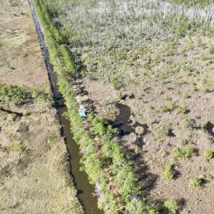 Photo #59 of SOLD property in Off US 264, Engelhard, NC 500.0 acres