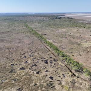Photo #60 of SOLD property in Off US 264, Engelhard, NC 500.0 acres