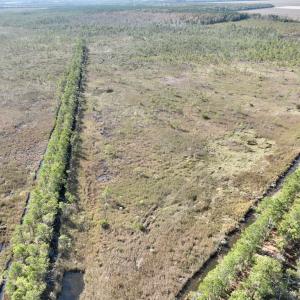 Photo #62 of SOLD property in Off US 264, Engelhard, NC 500.0 acres