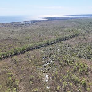 Photo #63 of SOLD property in Off US 264, Engelhard, NC 500.0 acres