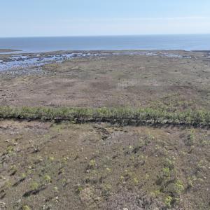 Photo #64 of SOLD property in Off US 264, Engelhard, NC 500.0 acres
