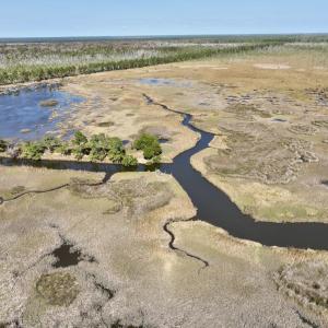 Photo #72 of SOLD property in Off US 264, Engelhard, NC 500.0 acres