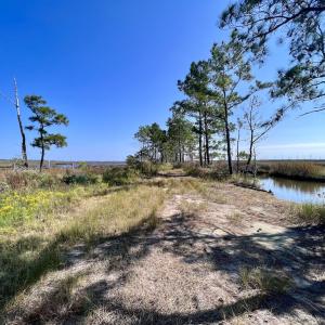 Photo #77 of SOLD property in Off US 264, Engelhard, NC 500.0 acres
