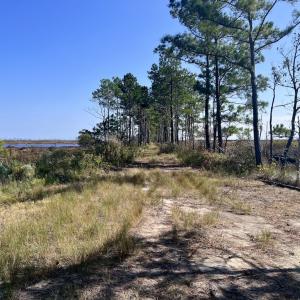 Photo #78 of SOLD property in Off US 264, Engelhard, NC 500.0 acres