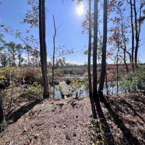 Photo #88 of SOLD property in Off US 264, Engelhard, NC 500.0 acres