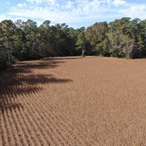 Photo #7 of Off Norton Road, Green Sea, SC 32.0 acres