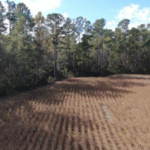 Photo #9 of Off Norton Road, Green Sea, SC 32.0 acres