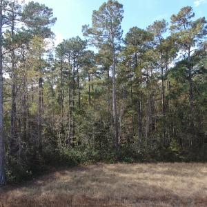 Photo #10 of Off Norton Road, Green Sea, SC 32.0 acres