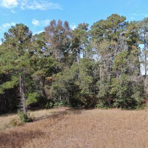 Photo #11 of Off Norton Road, Green Sea, SC 32.0 acres