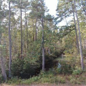 Photo #12 of Off Norton Road, Green Sea, SC 32.0 acres