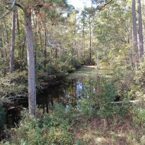 Photo #13 of Off Norton Road, Green Sea, SC 32.0 acres