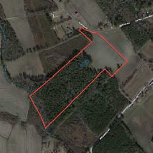 Photo #1 of Off Norton Road, Green Sea, SC 32.0 acres