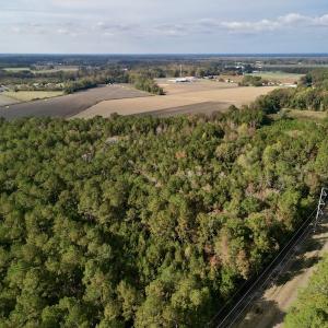 Photo #11 of SOLD property in Off Rail Road St, Chocowinity, NC 3.4 acres