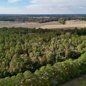 Photo #12 of SOLD property in Off Rail Road St, Chocowinity, NC 3.4 acres