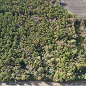 Photo #13 of SOLD property in Off Rail Road St, Chocowinity, NC 3.4 acres