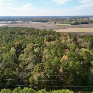 Photo #14 of SOLD property in Off Rail Road St, Chocowinity, NC 3.4 acres