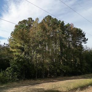 Photo #15 of SOLD property in Off Rail Road St, Chocowinity, NC 3.4 acres